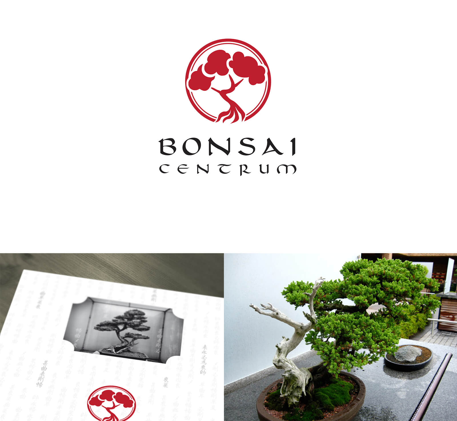Bonsaicentrum 01