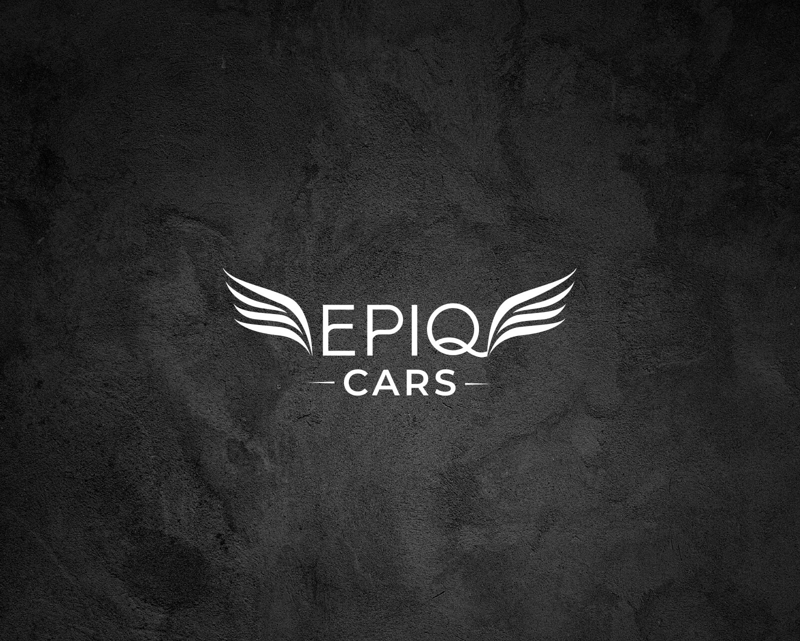 EPIQ_CARS-Vizualizace-01